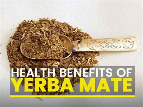 Science Backed Health Benefits Of Yerba Mate