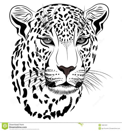 Tatuaje Del Leopardo Imágenes De Archivo Libres De Regalías Leopard