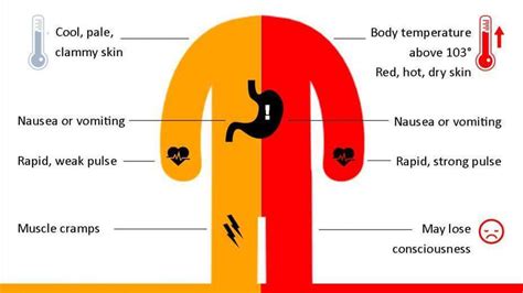 Heat Exhaustion Vs Heat Stroke What You Need To Know This Summer