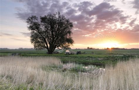 Beautiful Spring Sunrise In Countryside Stock Photo By Catolla Photodune