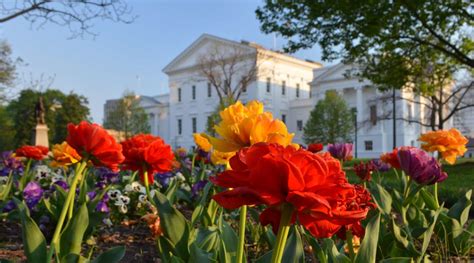 Visit Richmond Va Hotels Things To Do And Events