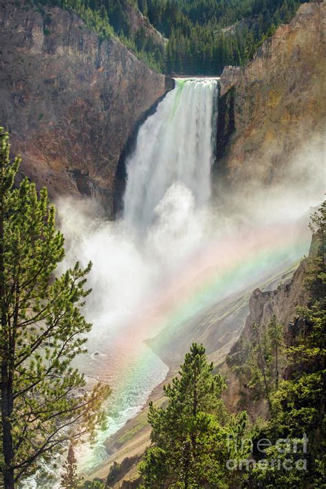 Lower Falls Of Yellowstone Ii Photograph By Karen Jorstad Fine Art