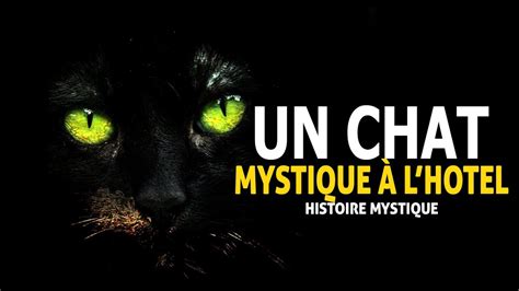 Un Chat Mystique À Lhotel Histoire Mystique Dmg Tv Youtube
