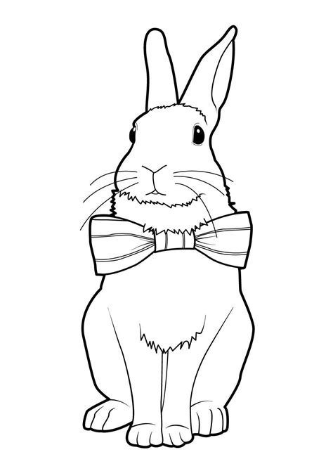 Lapin 9 Coloriages Animaux Lapins