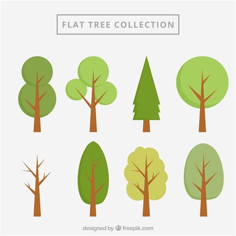 Free Vector Flat Trees Collection