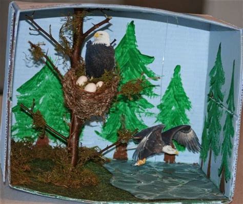 Mrs Hoschouer Animal Diorama