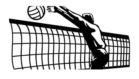 White Volleyball Net Clipart 10 Free Cliparts Download Images On