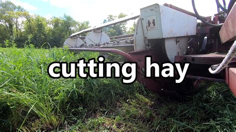 Cutting Hay Youtube