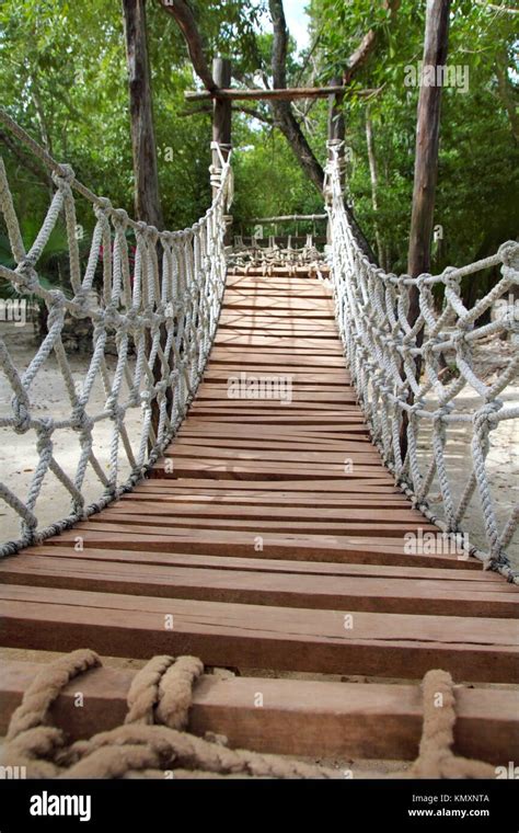 Adventure Wooden Rope Suspension Bridge In Jungle Rainforest Stock