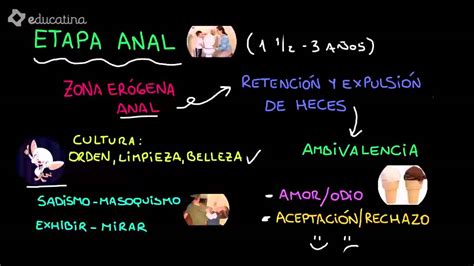 Etapas De La Teoria Psicosexual De Freud Pdf