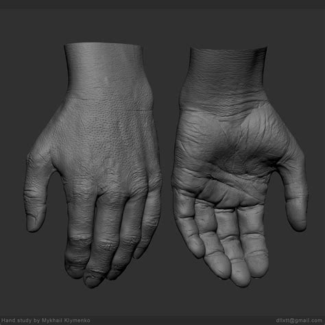 Hand Anatomy Human Anatomy Art Anatomy Study Anatomy For Artists