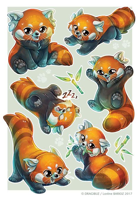 Some Cute Red Pandas ~ Cute Animal Drawings Kawaii Drawings Cute