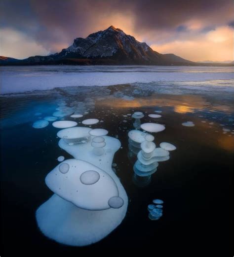 These Stunning Frozen Methane Bubbles Were Captured At Abraham Lake