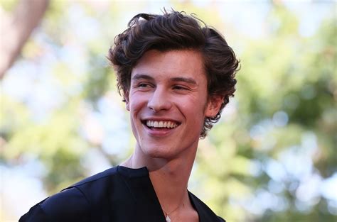 You Can Take Shawn Mendes Or Dolly Parton On Your Walk With New Apple