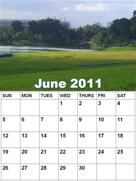 Efuu6fen June 2011 Calendar
