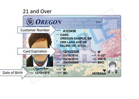 Driver License Number Oregon Lasopastores