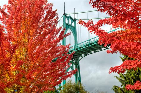 Best Time To See Portland Fall Colors 2024 When To See Roveme