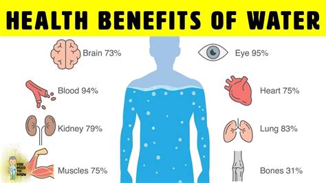 8 Reasons Why You Should Only Drink Water Top10 Water Health Benefits
