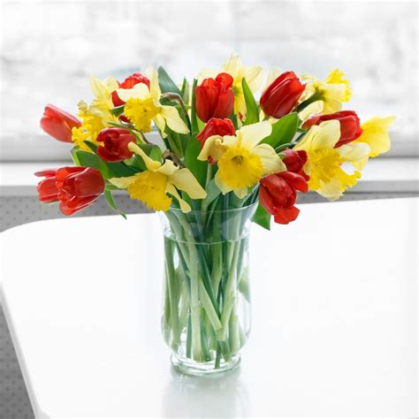 Check spelling or type a new query. Get Warm Feeling Floral Surprise with Next Day Flower ...