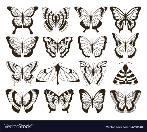 Monochrome Butterflies Black And White Drawing Vector Image