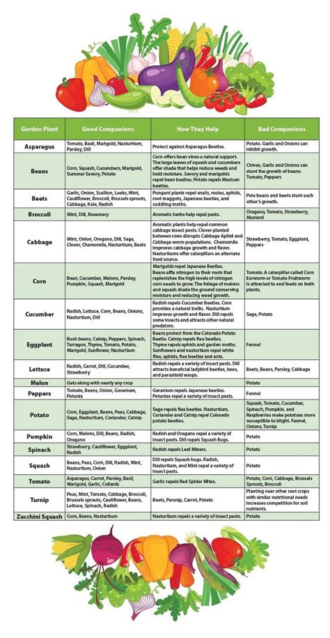 Flower And Vegetable Companion Planting Chart