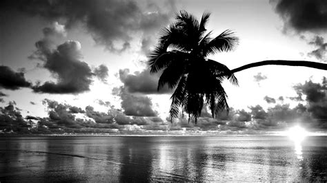Black And White Sunset Wallpapers Top Free Black And White Sunset