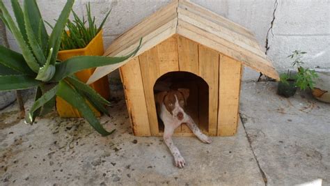 30 Awesome Dog House Diy Ideas Indoor Outdoor Design Photos