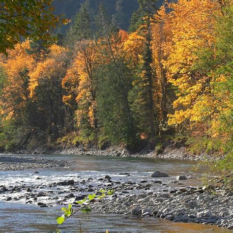 Top Spots For Fall Foliage And Leaf Peeping In The Olympic National Park