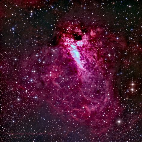 M17 Swan Nebula Telescope Live