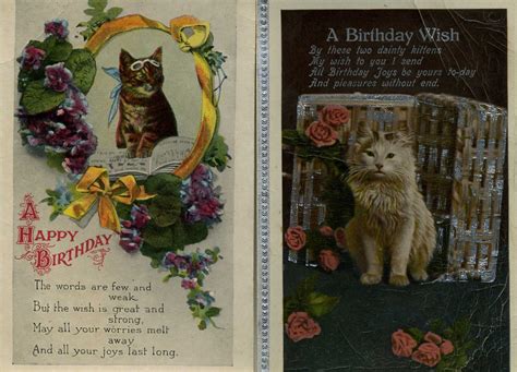 1920s Birthday Postcards Miscellany My Brighton And Hove