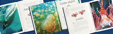 An Anthology Of Aquatic Life Hume Sam Au Books