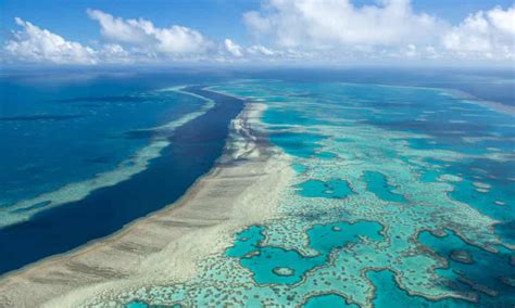 The Great Barrier Reef Is Not On The ‘in Danger List Why And What