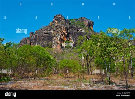 Kakadu National Park Unesco World Heritage Site Northern Territory