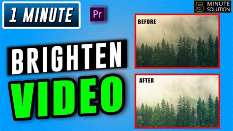 How To Brighten Video In Premiere Pro 2022 Lighten Video Youtube