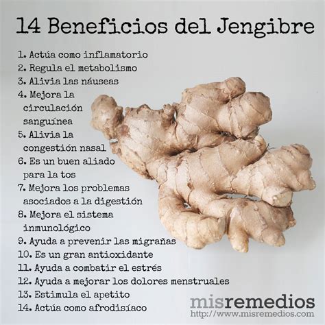 Beneficios Del Jengibre Que Te Encantar Conocer Mis Remedios