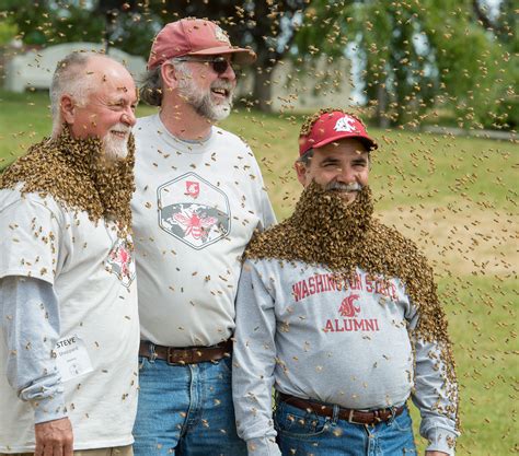 Provost Wears Bees To Raise Awareness Of Bees Research Wsu Insider Washington State University