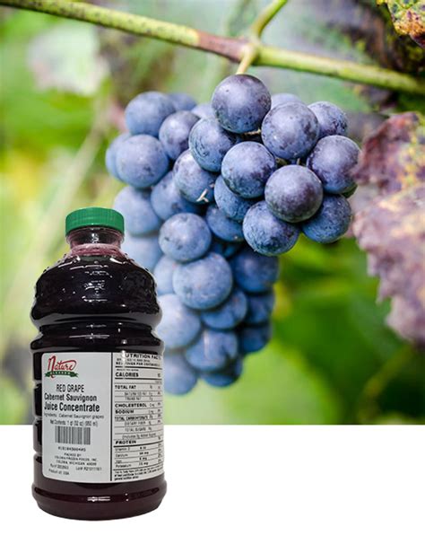 Cabernet Sauvignon Grape Concentrate For Wine Beer Cider Mead