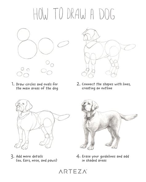 Https://tommynaija.com/draw/how To Draw A Dog Step By Step Realistic