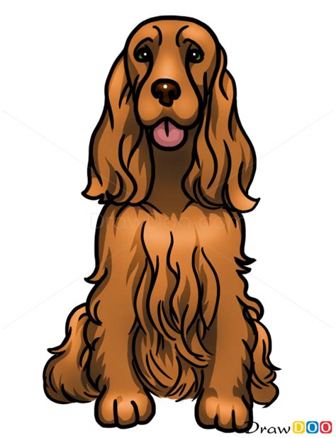 From furry dog and greyhounds to puppies, poodles and dalmatians, we can teach you how to draw all kinds of pooches and make them come alive on paper. How to Draw Cocker Spaniel, Dogs and Puppies