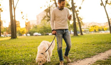 Apps that will pay you to walk pets. 13 Apps That Pay You to Walk - DollarSprout