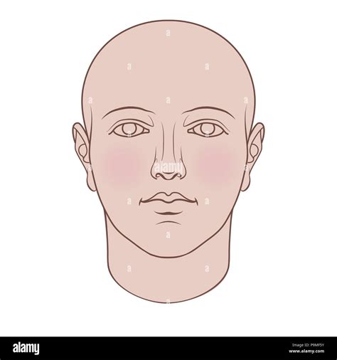Hand Drawn Human Head In Face Flat Vector Isolated On White Background