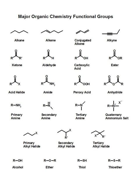 Major Functional Groups Skeletal Structures Organicchemistry