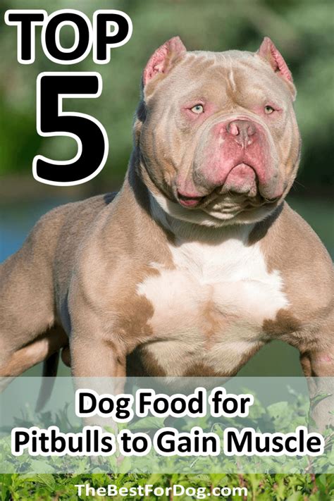 What is hydrolyzed protein dog food? 5 Best Dog Food Pitbulls To Gain Muscle Tested in 2021 ...