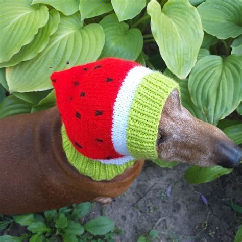 Knitted Hat For Dog Watermelon Etsy