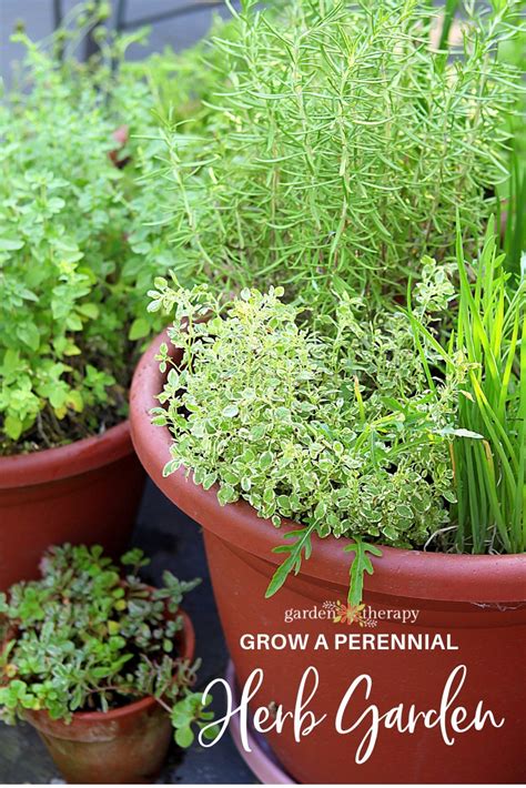 Grow Your Own Perennial Herb Container Garden Garden Therapy