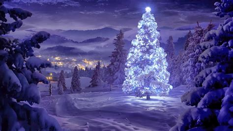 Christmas Tree Snow 1600x900 Download Hd Wallpaper Wallpapertip