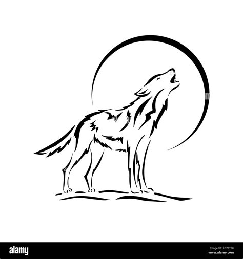 Howling Wolf Moon Black And White Stock Photos And Images Alamy
