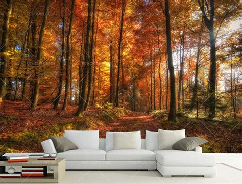 Autumn Woodland Scene Nature Mural 14068151 Best Quality Customize
