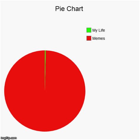 Pie Chart My Life Memes Imgflip
