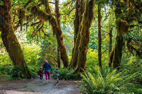 The Perfect 3 Day Itinerary For Olympic National Park — Big Brave Nomad